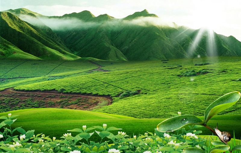 廣東省生態環境廳審批環境影響評價文件的建設項目名錄(2019年本)