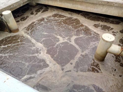 什么是制革廢水？制革廢水特點與處理工藝