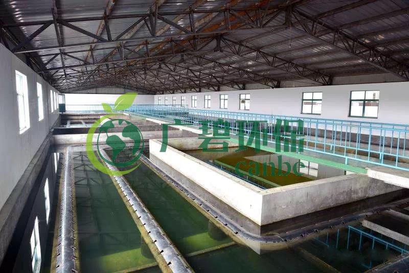 什么是制糖廢水？制糖廢水處理技術(shù)(圖1)