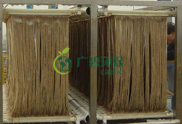 MBR膜如何選型？膜組件如何清洗？MBR知識(shí)分享(圖1)