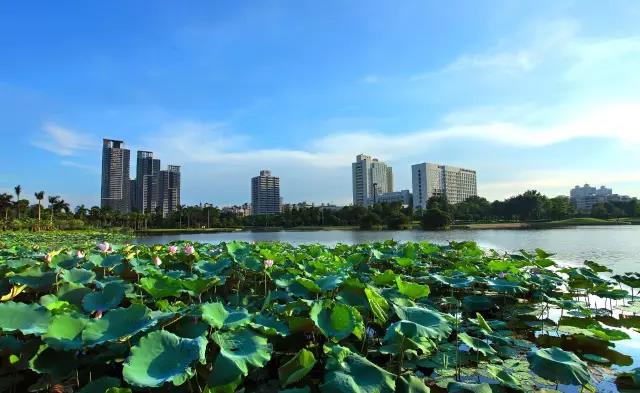 陜西省寶雞等8市(區(qū))因大氣環(huán)境問題被提醒談話