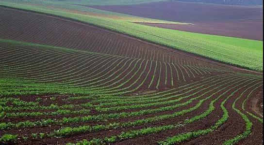 土壤檢測標(biāo)準(zhǔn)取樣方式,越標(biāo)準(zhǔn)結(jié)果越準(zhǔn)確
