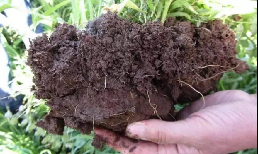 土壤侵蝕是什么?什么導致了土壤侵蝕?