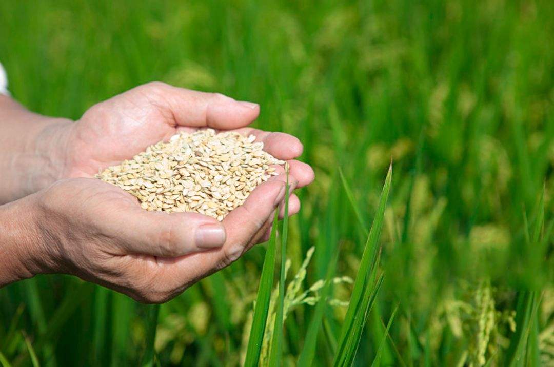 土壤修復(fù)市場(chǎng),該火了!(圖3) 土壤修復(fù)市場(chǎng),該火了!(圖3)